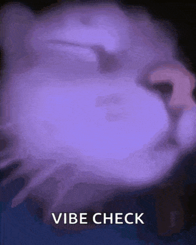 Vibe Cat